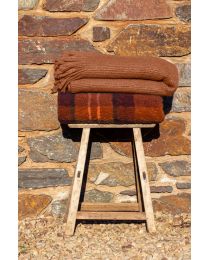 PLAID teddy | Check Autumn