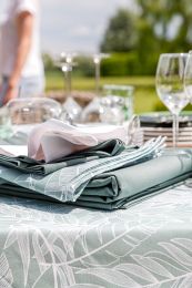 NAPPE recle-15 | Seminole