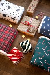 ONESIE coral sherpa | Christmas Tartan